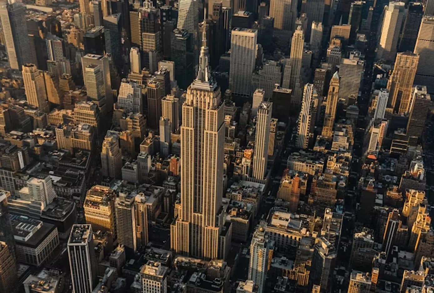 Luxury Vehicles for Every NYC Tour