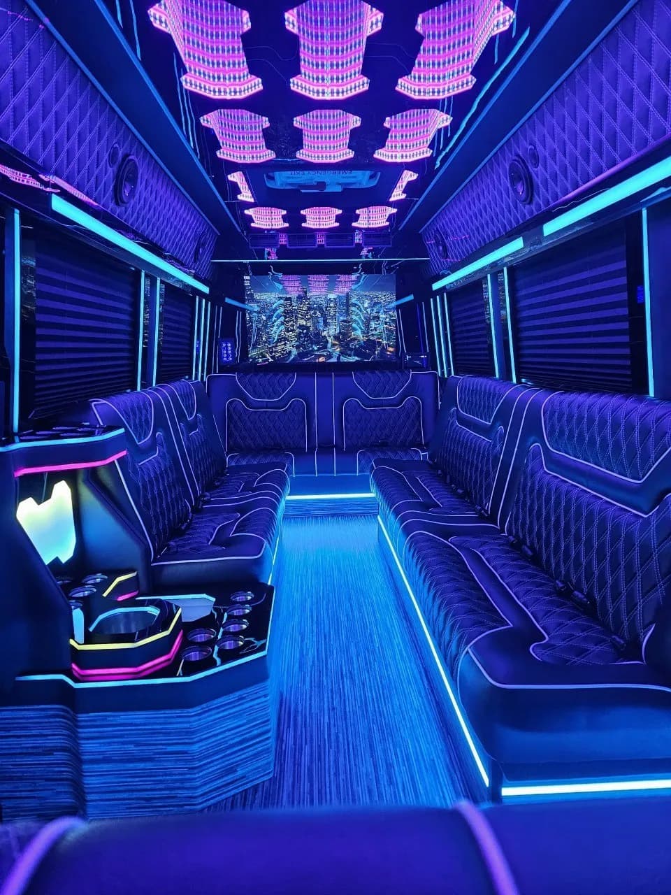 Party Sprinter Van & Sprinter Party Bus - Photo 6