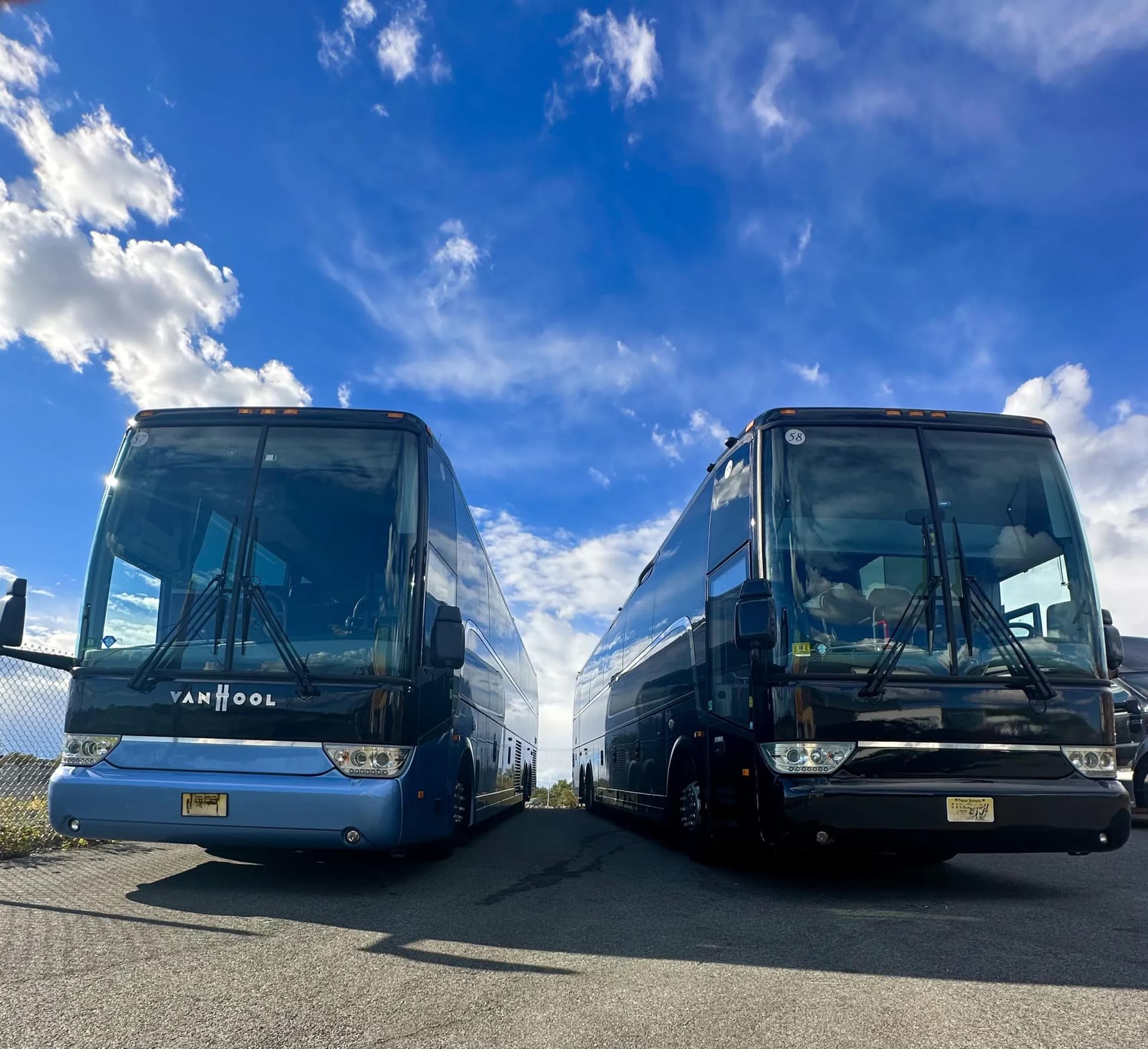 Blue and black Van Hool coaches face to face at the bus yard