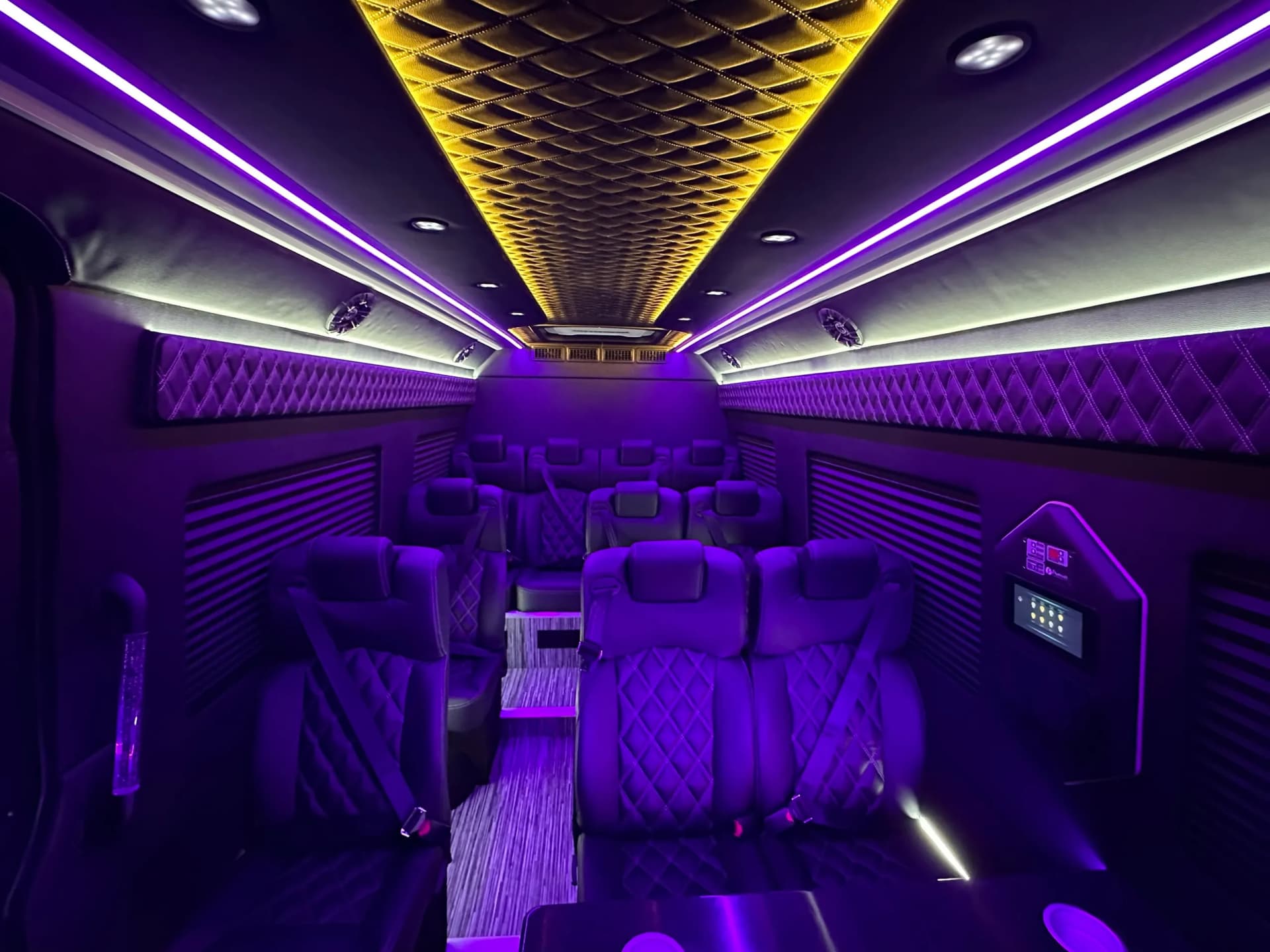 Mercedes Sprinter (14 Passenger) - Photo 15